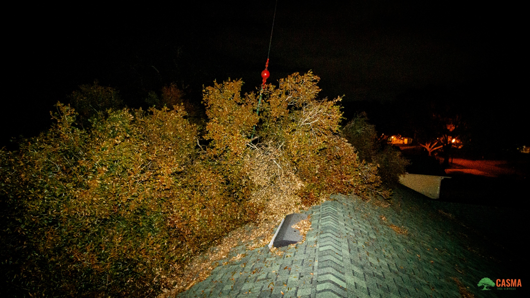 Crane lifting tree section off rooftop during night removal