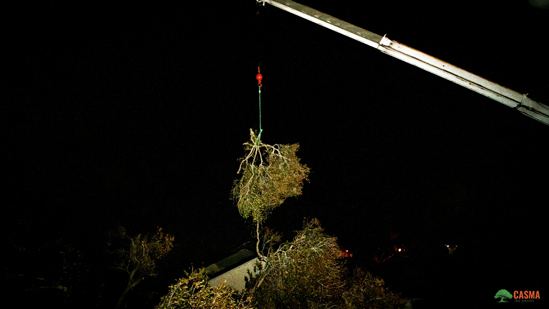 Crane hoisting a full tree away from the property at night