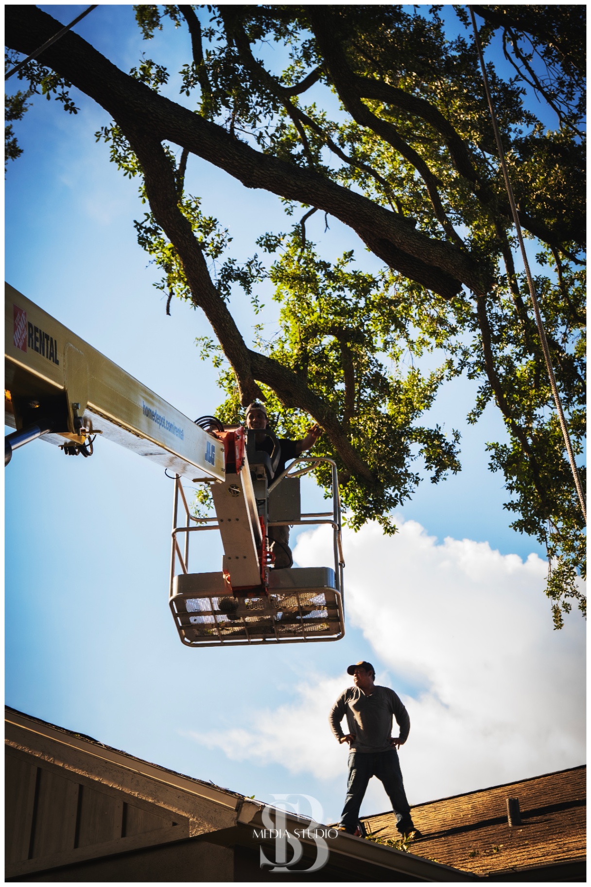 Casma crew operating bucket lift under oak canopy