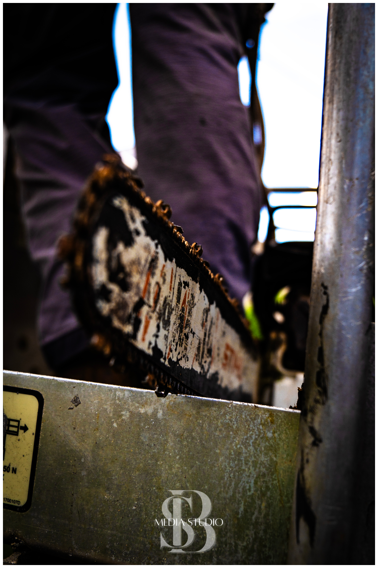 Stihl chainsaw close-up on the job